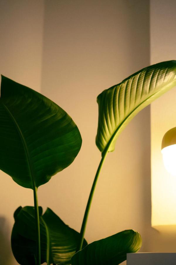 #9 3Mins To Station 1Stop To Shinjuku Stylish Apartment With Plenty Of Sunlight Tóquio Exterior foto